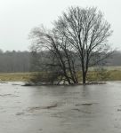 Salford Flood Warning